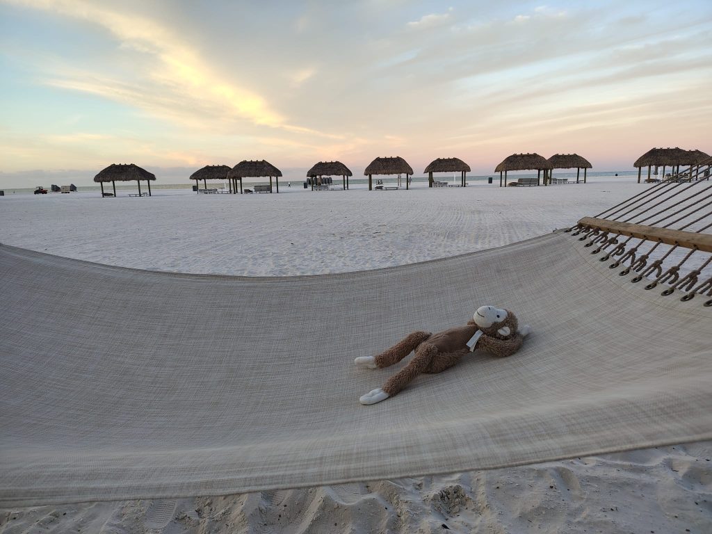 Jimmy (my son's stuffed animal) taking a break at IMC.